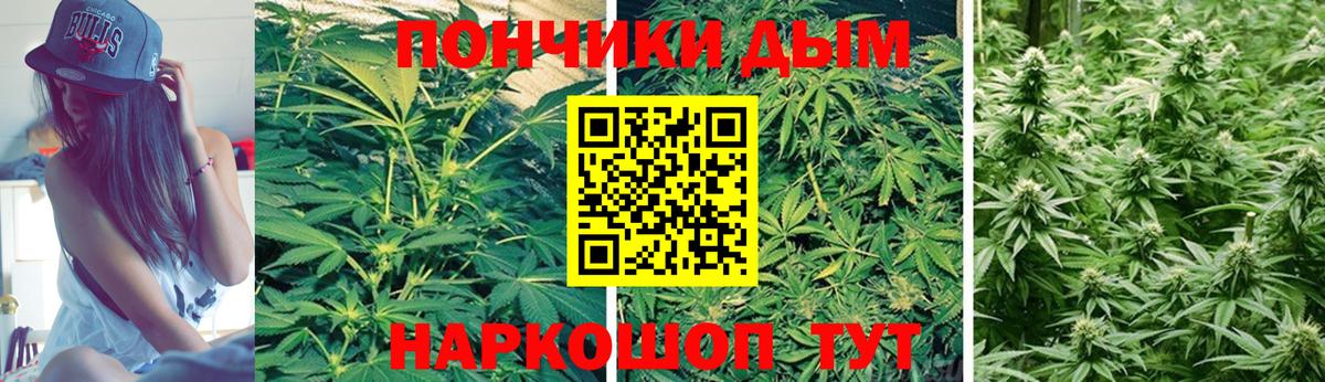 Севастополь  Каннабис тримм  Вход с VPN  Канабис ГИДРОПОН 